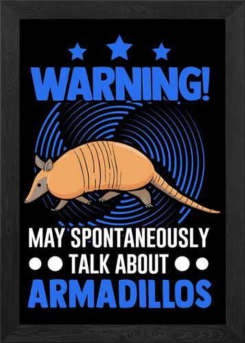Armadillo gift framed - gift, art