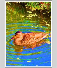 Down By The Riverbank A4 Print