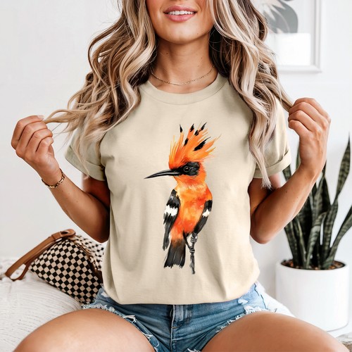 Hoopoe bird exotic birds - hoopoe,