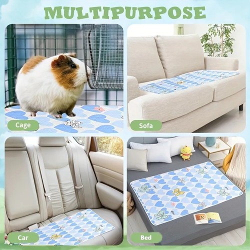 Reusable guinea pig pee - pig,