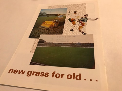 Sisis new grass for - new, old
