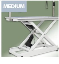 Dog Grooming Table Electric 