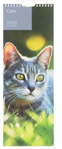 Cats photographic slim - cats,