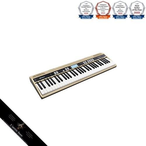 Roland justy 100 harmony - hk-100,