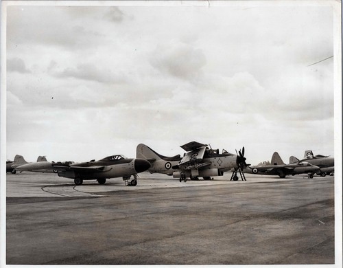 Havilland sea venom fairey - havilland,