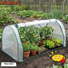 Mini plant greenhouse plastic - mini,