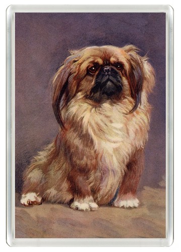 Pekingese dog fridge - pekingese,