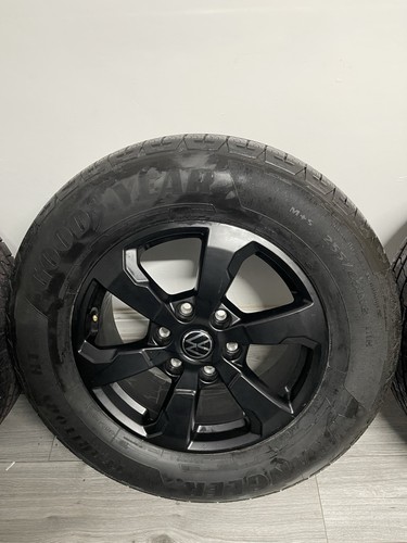 Amarok alloys with - amarok,
