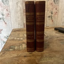 c.1895 Old Vintage Hulme