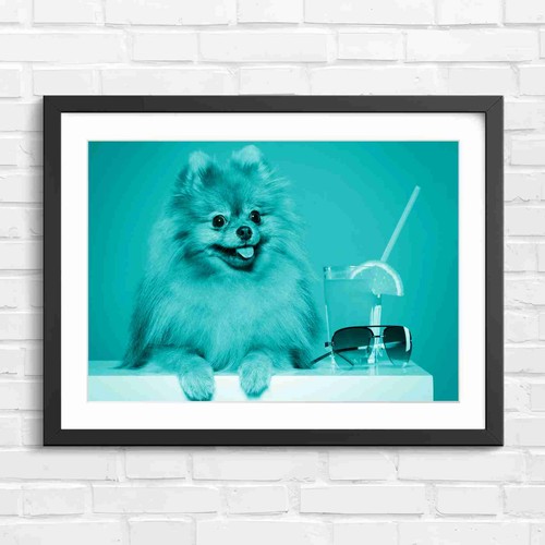 Cute fluffy brown pomeranian - cute,