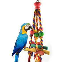Bird toys parrot - bird,