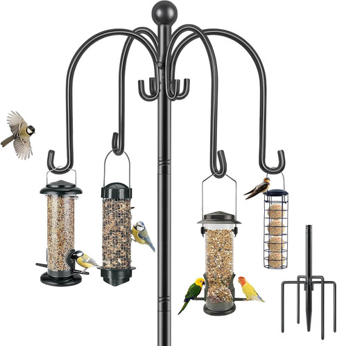 Bird feeders hanging station - bird,