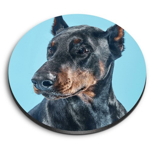 Round mdf magnets doberman - mdf,
