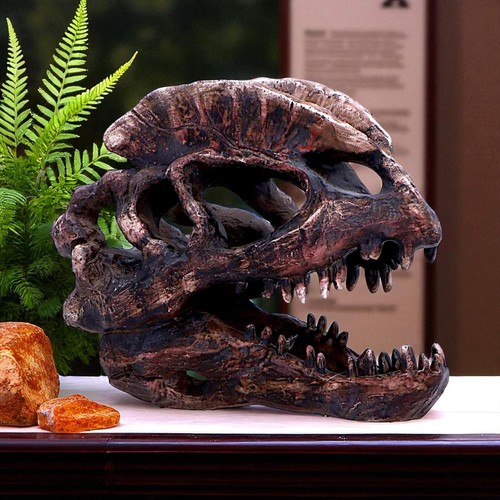 Dilophosaurus dinosaur skull - dilophosaurus,