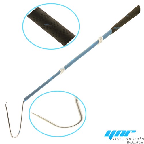 Ynr snake reptile hook lizard - ynr,