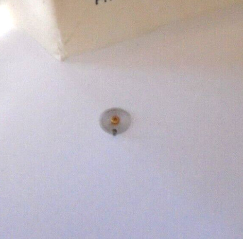Hamilton size hairspring - 21/0,