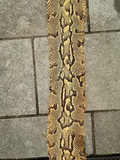 Python leather skin 4 meters long (width avg 22cm)