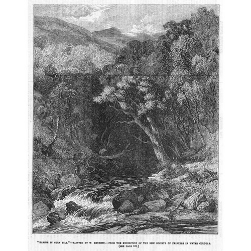 Ravine glen tilt w - ravine,