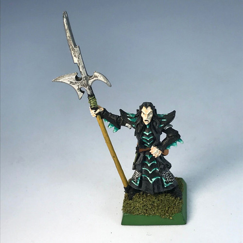 Dark elves black guard - dark,
