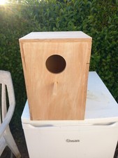 Cockatiel Parakeet Kakariki