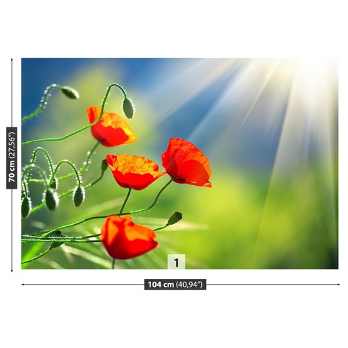 Photo wallpaper wall - photo,