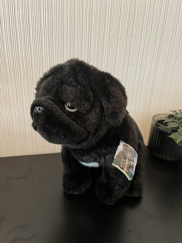 Faithful friends sitting black - sitting,