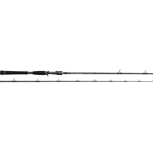 Tenryu spinning rod bayblaze - rod,