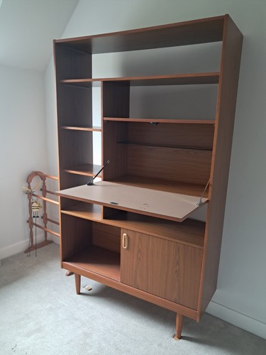Mid century modern room - modern,