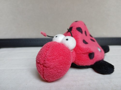 German ladybird friedrich - german,