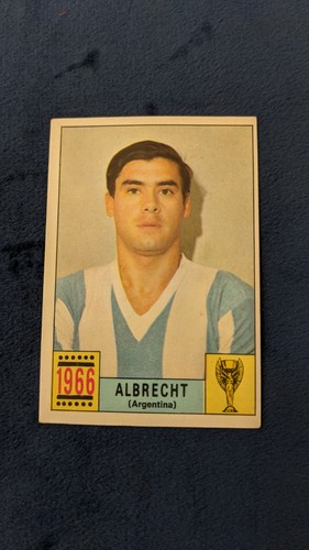 Mexico panini world cup - mexico,