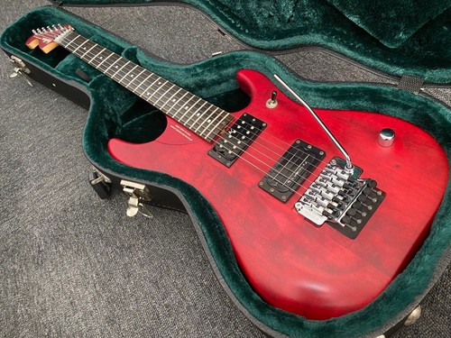 Washburn n24 - washburn,