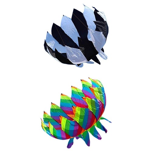 Flower kite big - kite,
