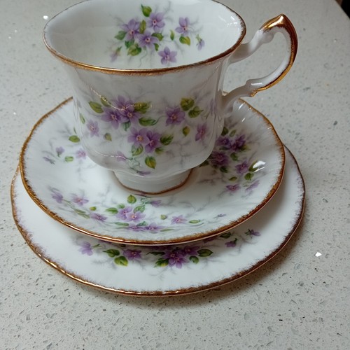Paragon malandi trio cup - malandi,