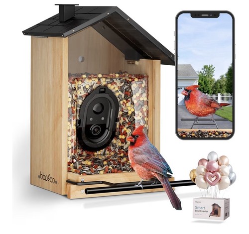 Bird feeder with camera - feeder,