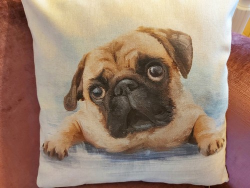 Pug designer cushion cover - pug,