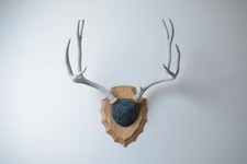 Deer Antler Decor Mount –