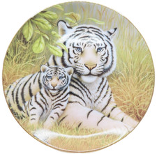 White Tiger Watchful Eyes