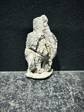 Fish Tank Ornament Ref Cc