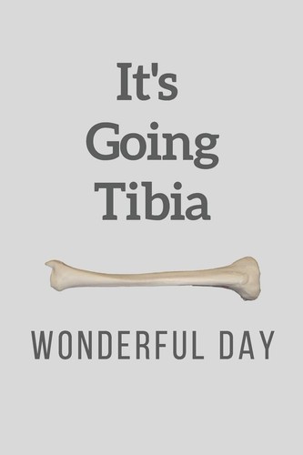 Its going tibia wonderful day - tibia,