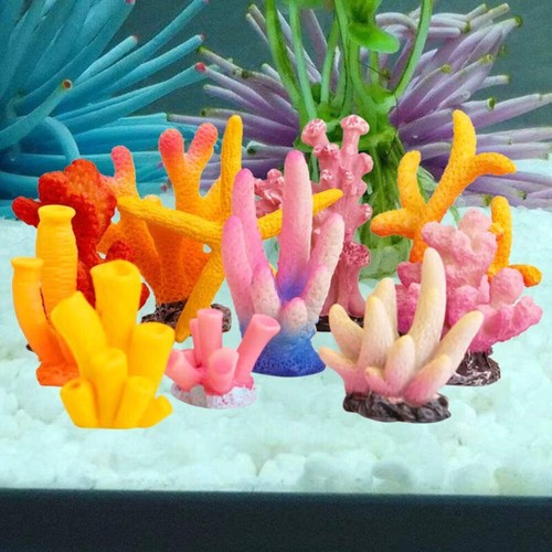 Mini aquarium medium - aquarium,