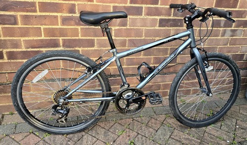 Mountain bike - mountain,