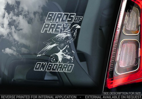 Birds prey car sticker - birds,