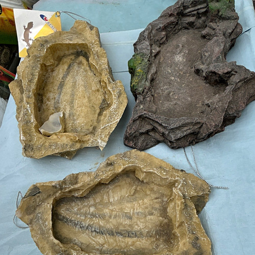 Reptile rock effect feeding - rock,