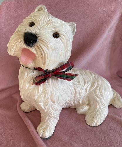 Large westie dog west - west, highland