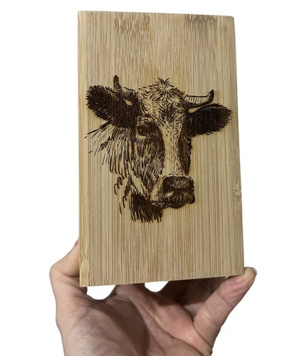 Sale dairy farm cow - *sale*, bamboo
