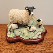 Border Fine Arts Swaledale Ewe