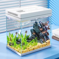 10L Fish Tank, Nano Glass Aquarium, Upgrade Filter System and LED Light, for Fre
