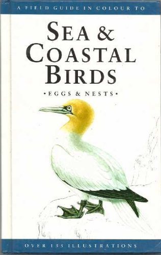 Field guide colour to sea - colour,