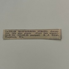 E. J. Bryan Latham Raspberries