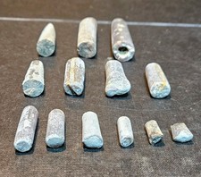 Cylindroteuthis Belemnite